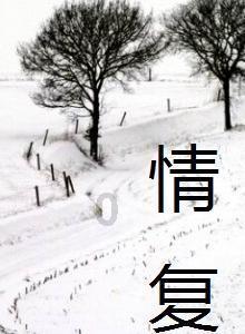 寻找战宝船