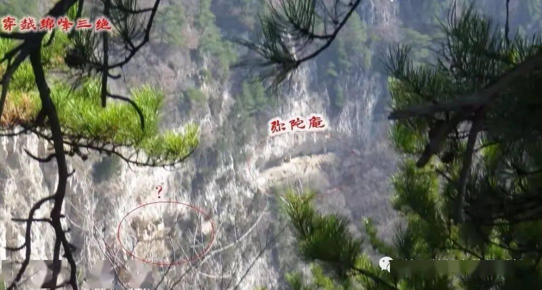 全民烧脑3去广告版