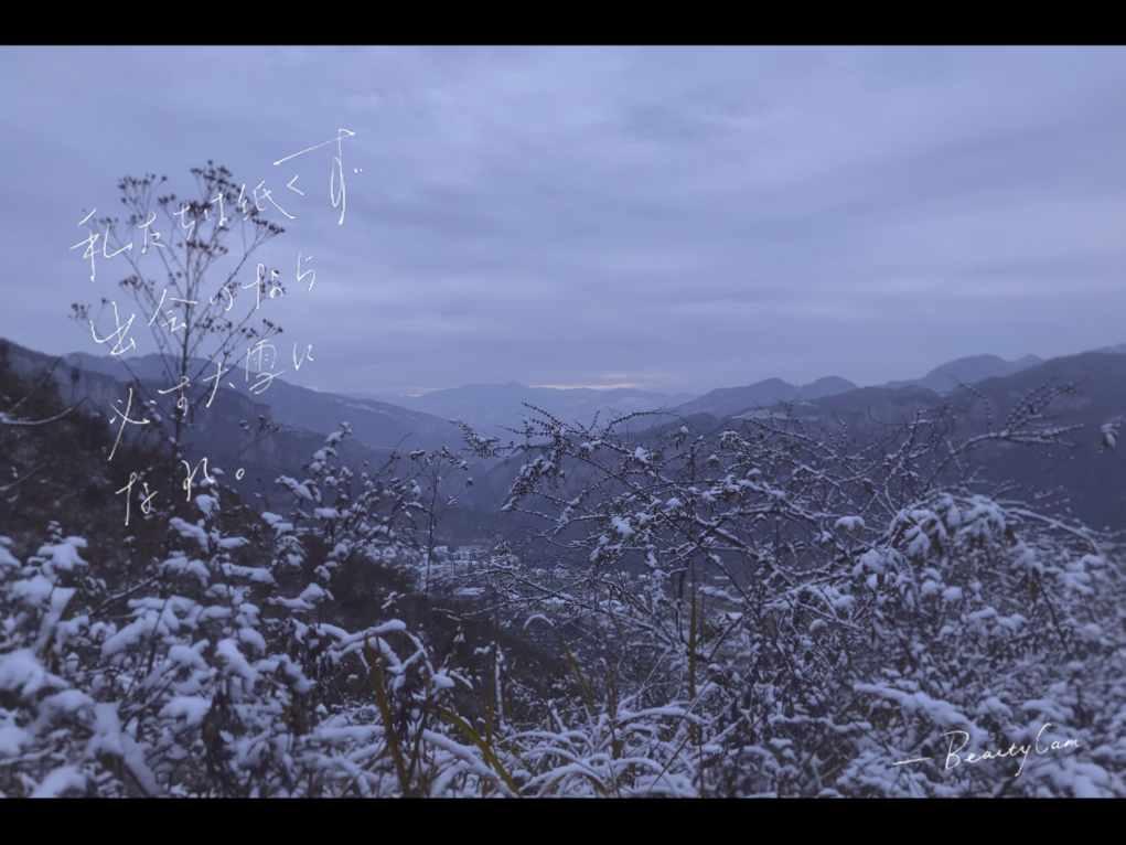 救援小巨鳄