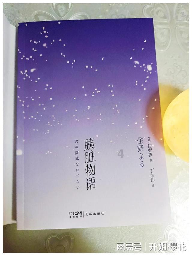 小猫钓鱼游戏龙王版有船
