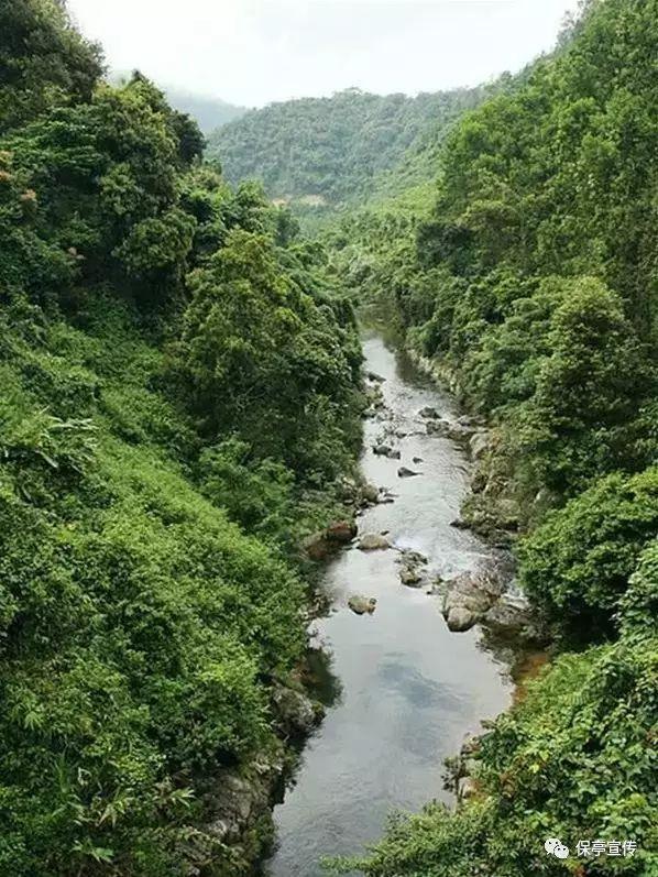 2月4日立春,有钱没钱,别忘记吃这8道寓意菜,迎新春,阖家安康